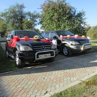 Mercedes Benz ML - трансфер