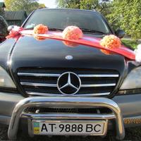 Mercedes Benz ML - трансфер