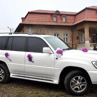 ВИБІР ЕЛІТНОГО ВЕСІЛЬНОГО КОРТЕЖУ В М.ЧЕРНІВЦІ ТА 